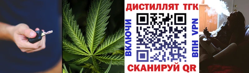 Дистиллят ТГК концентрат  продажа наркотиков  Гаврилов Посад 