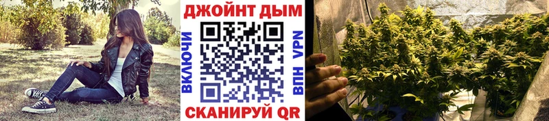 Бошки марихуана SATIVA & INDICA  Гаврилов Посад 